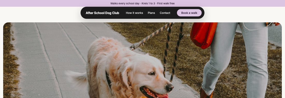 Screenshot of After School Dog Club