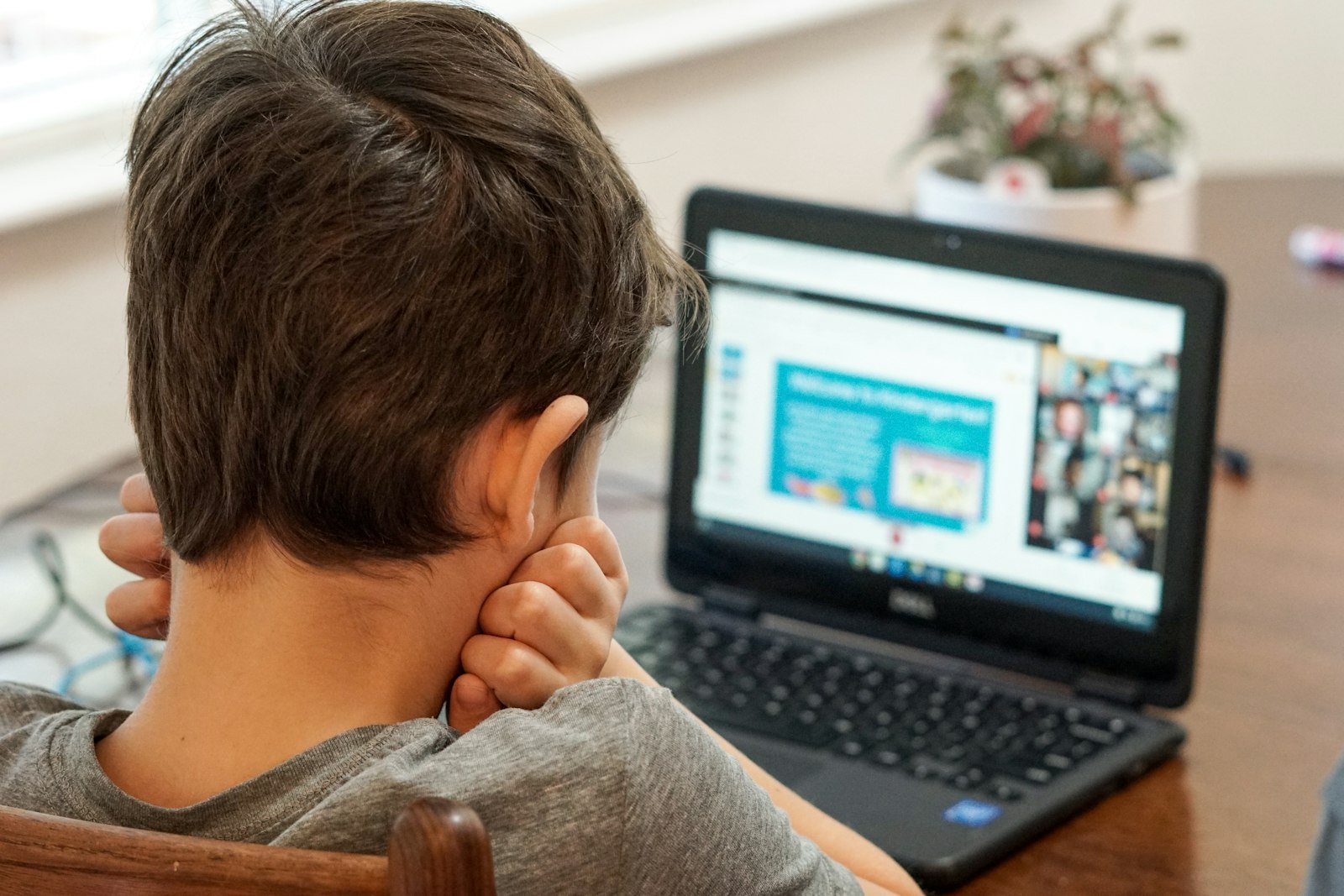 Kid focused on a laptop during an online lesson