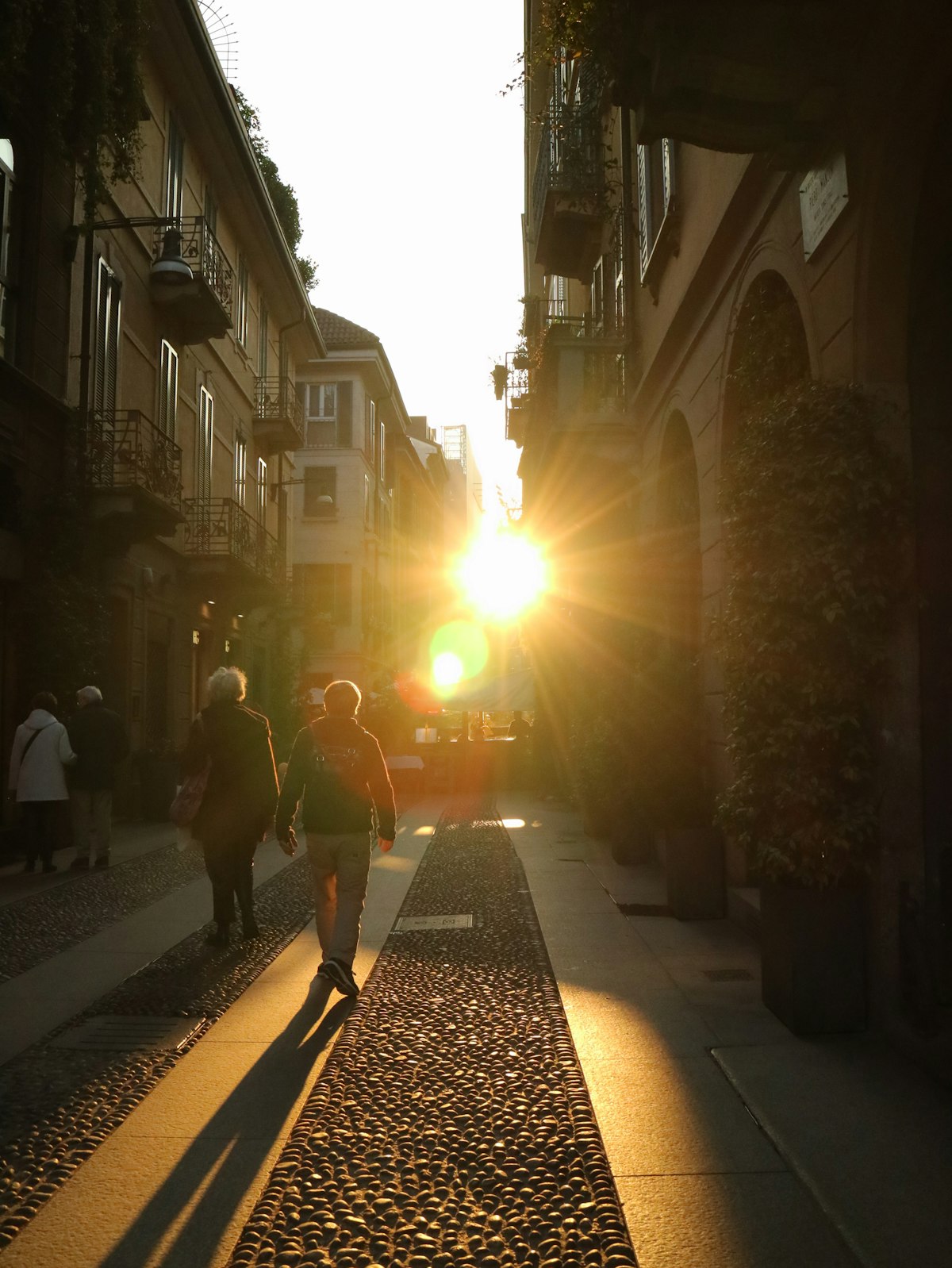 Evening light in the old town