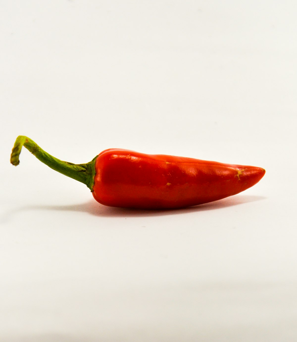 Single red chili on a white background
