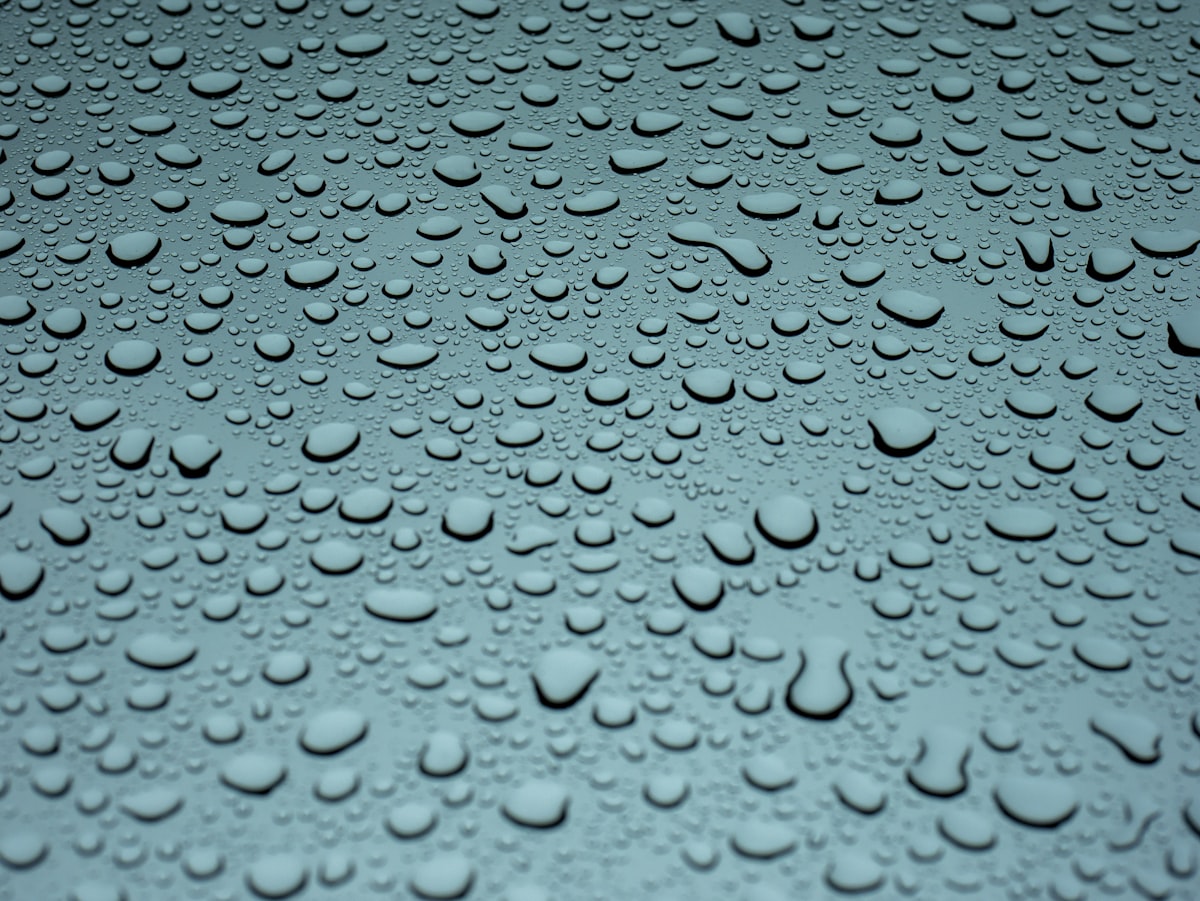 Clean car paint with water drops after washing